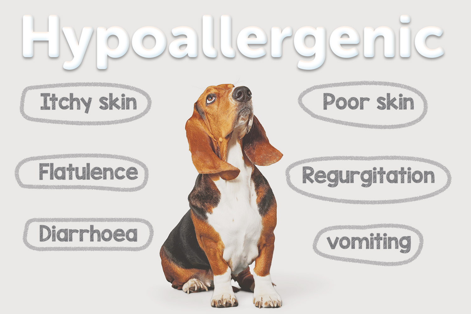 Why Hypoallergenic and What Does It Mean?